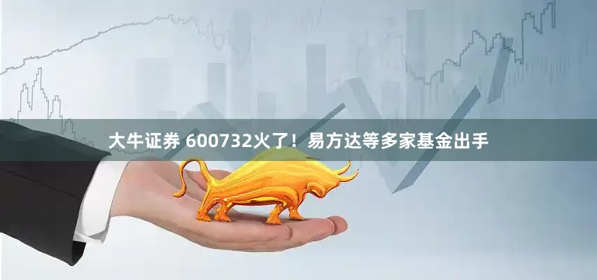 大牛证券 600732火了！易方达等多家基金出手