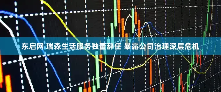 东启网 瑞森生活服务独董辞任 暴露公司治理深层危机