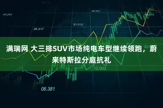 满瑞网 大三排SUV市场纯电车型继续领跑，蔚来特斯拉分庭抗礼
